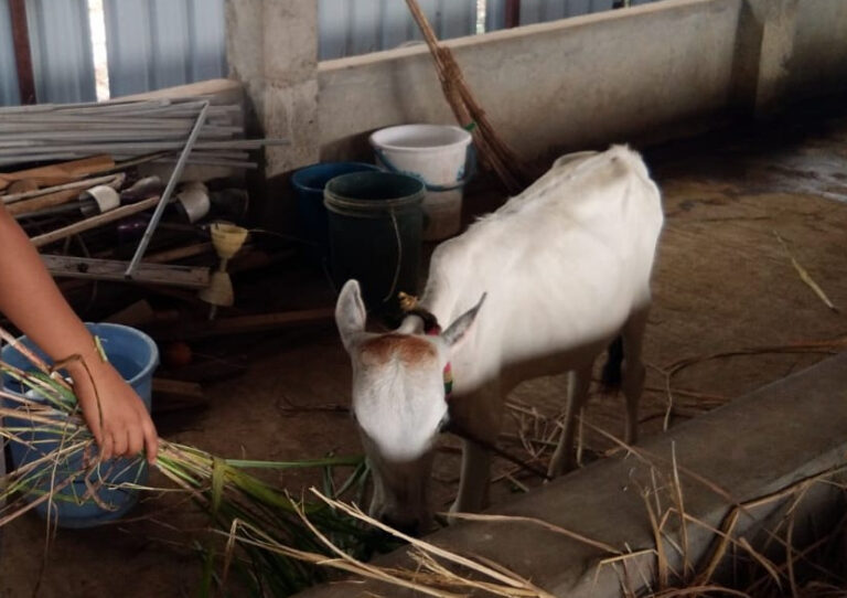 WhatsApp Image 2019-05-11 at 10.15.02 PM