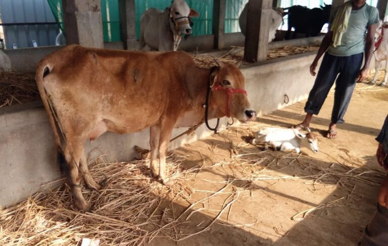 WhatsApp Image 2019-05-11 at 10.15.03 PM (1)