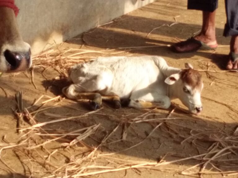 WhatsApp Image 2019-05-11 at 10.15.03 PM