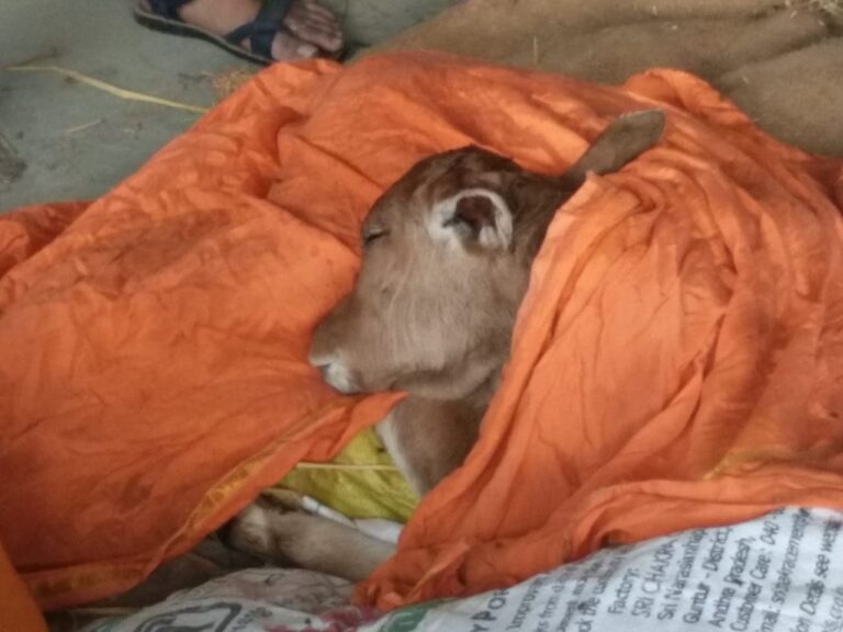 WhatsApp Image 2019-08-04 at 7.11.47 PM