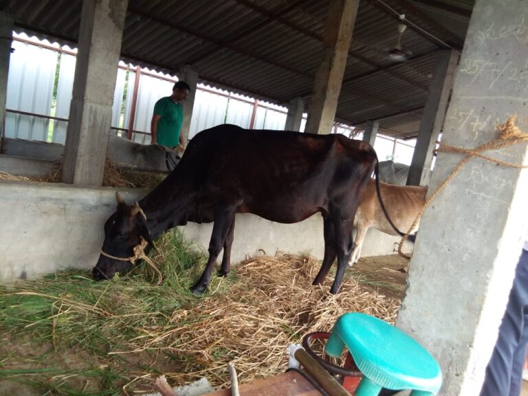 WhatsApp Image 2019-08-04 at 7.12.17 PM