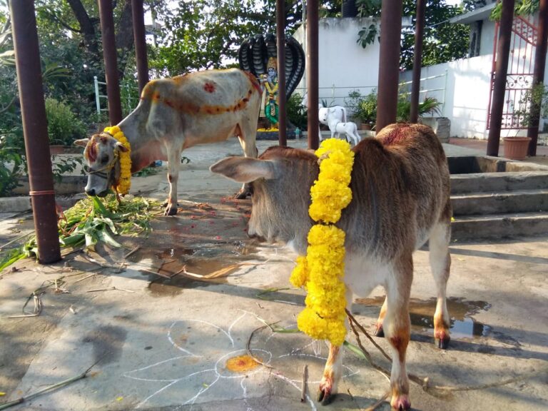 WhatsApp Image 2020-02-01 at 7.00.43 PM