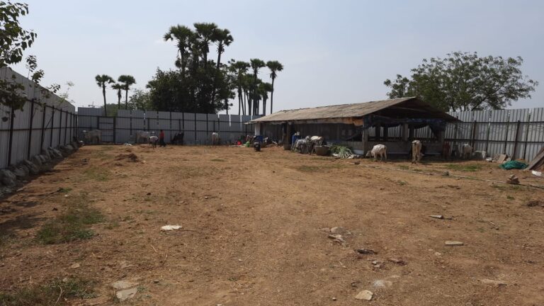 WhatsApp Image 2021-02-20 at 9.09.08 PM