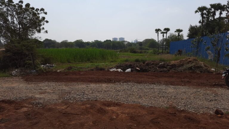 WhatsApp Image 2021-02-20 at 9.09.13 PM